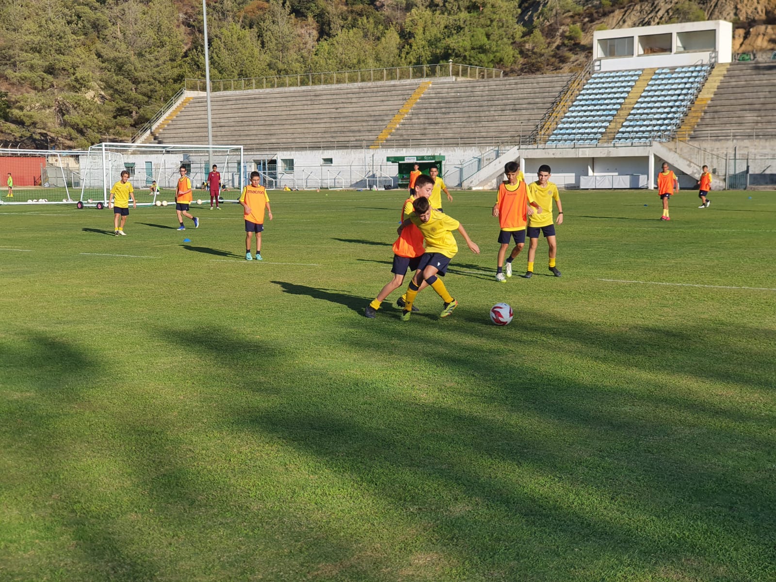 ael-academy-11