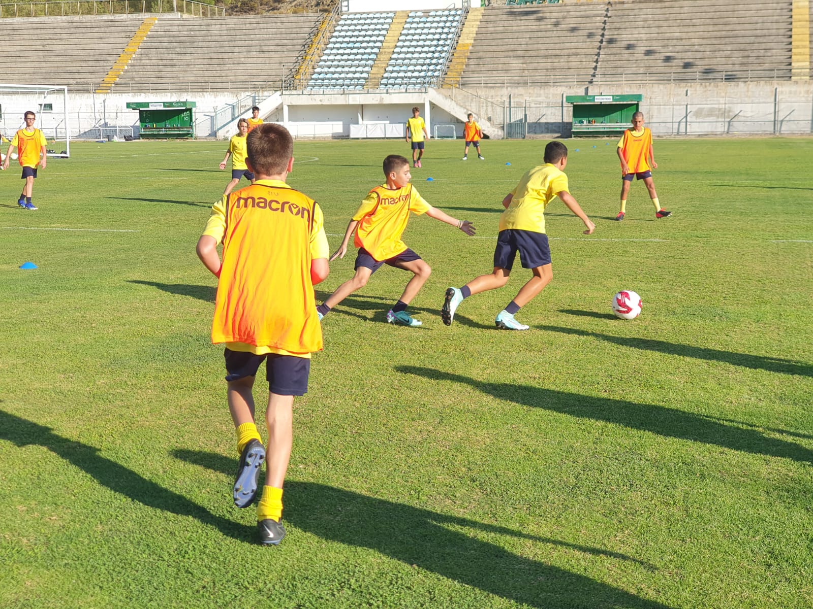 ael-academy-7